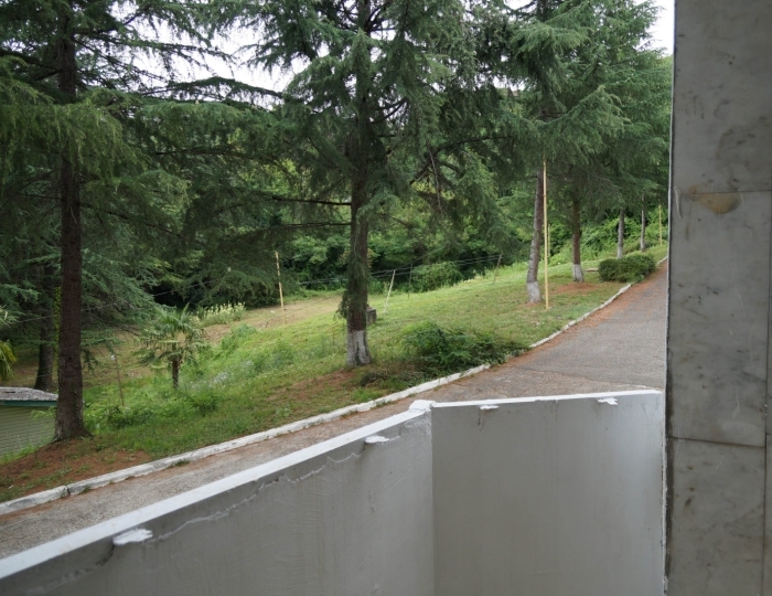 Семейный 4х-местный, 2х-комнатный, корпус №5 - Санаторий «Лазаревское» Сочи